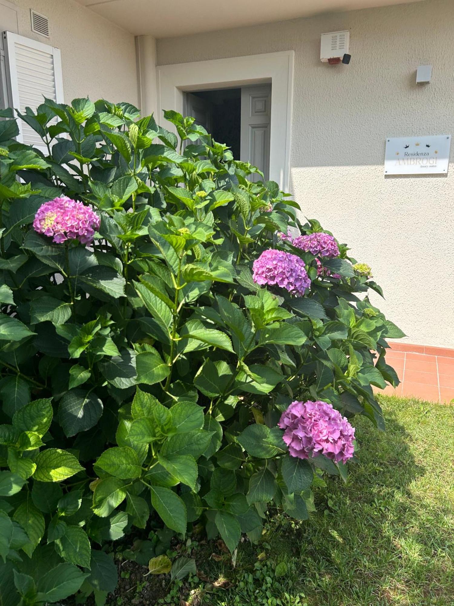 Residenza Ambrogi Apart otel Urbino Dış mekan fotoğraf