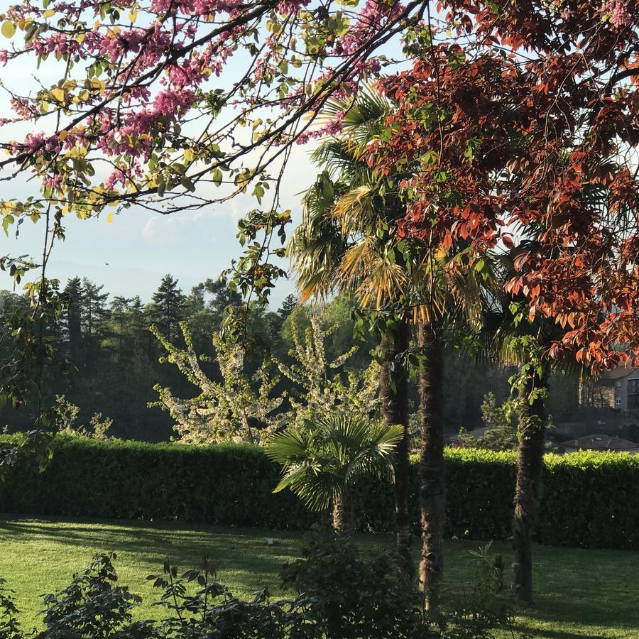 Residenza Ambrogi Apart otel Urbino Dış mekan fotoğraf