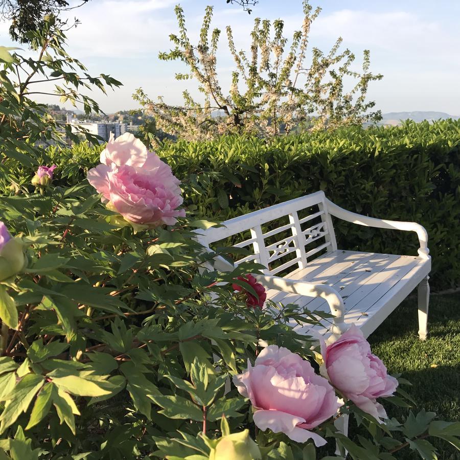 Residenza Ambrogi Apart otel Urbino Dış mekan fotoğraf